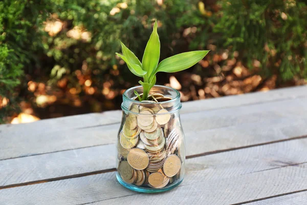 Planta cultivada en monedas — Foto de Stock