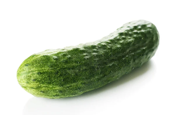 Ripe cucumber isolated on white — Stock Photo, Image