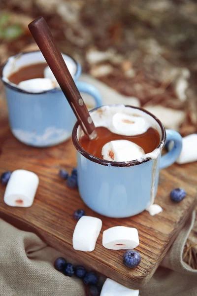 Cacao con marshmallow in tazze a terra — Foto Stock