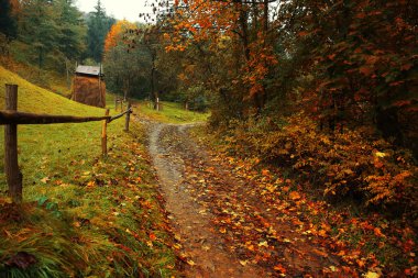 sisli sonbahar sabahı
