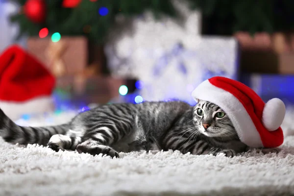 Beautiful cat near Christmas tree with decoration — Stock Photo, Image