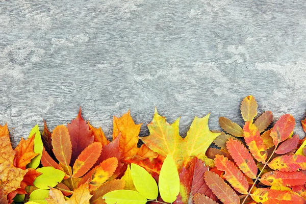 Bunte Herbstblätter auf Holzgrund — Stockfoto