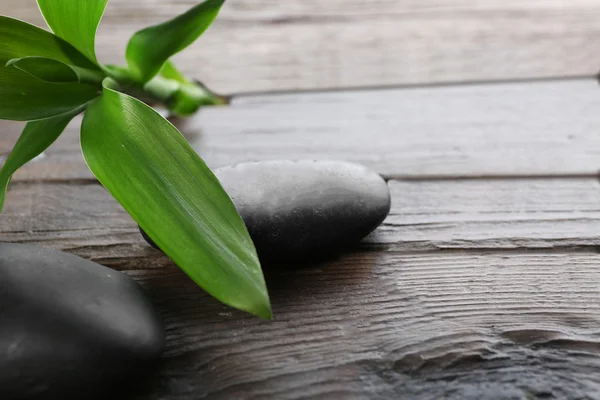 Piedras de spa y rama de bambú sobre fondo de madera — Foto de Stock