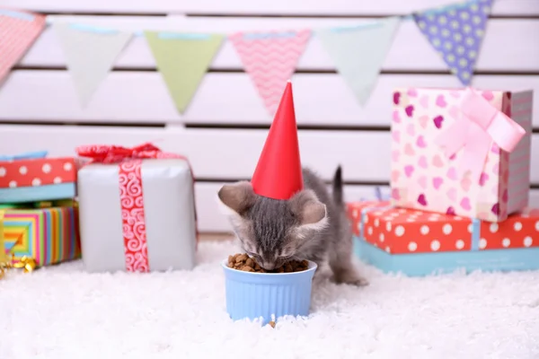 小灰色小猫庆祝生日 — 图库照片