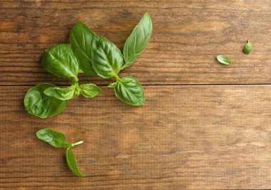 ahşap zemin üzerine yeşil taze fesleğen