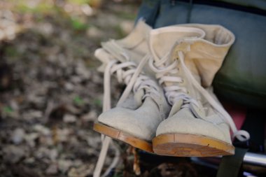 Ormandaki turistik donatımı