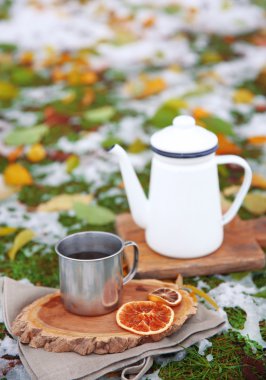 Çim zemin üzerinde mulled şarap bir fincan ile tepsi