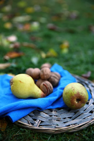 Frutas y nueces en estera de mimbre, sobre fondo de hierba verde —  Fotos de Stock