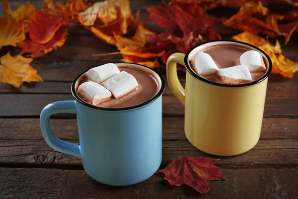 Smakelijke cacao en marshmallow — Stockfoto