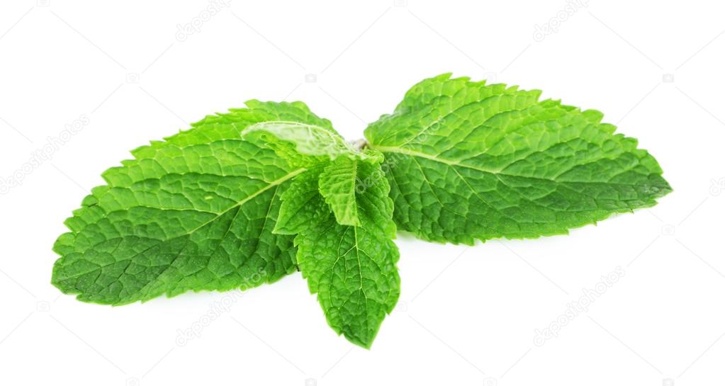 Aromatic mint leaves isolated on white, close up