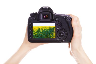 Fotoğrafçı ile iş yerinde fotoğraf makinesi 