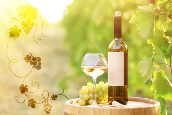 Wine vector image on nature background — Stock Photo, Image