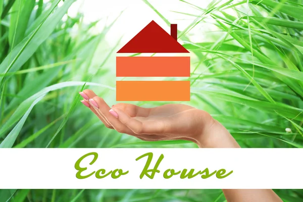 Eco house icon — Stock Photo, Image