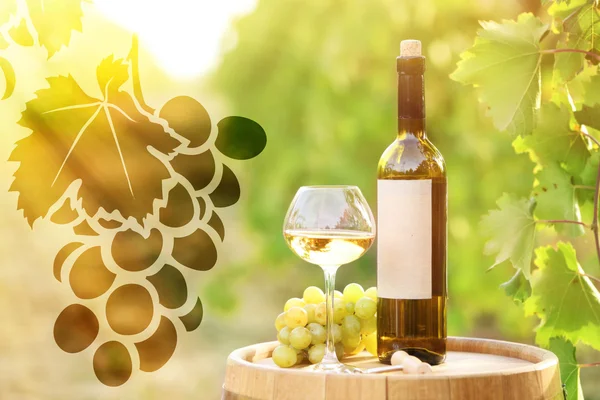 Immagine vettoriale del vino su sfondo naturale — Foto Stock