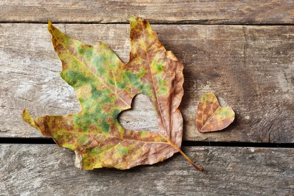 Сушений осінній лист з вирізаним серцем — стокове фото