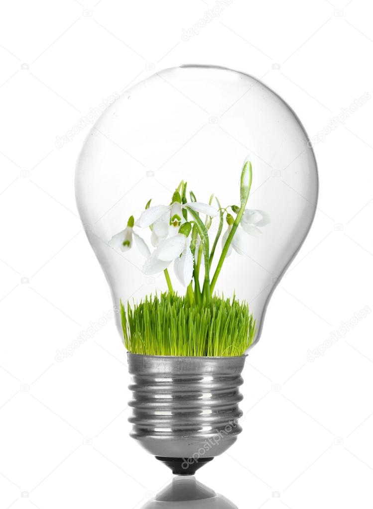 Green eco energy concept