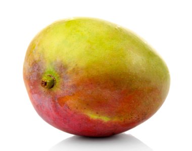 Mango beyaz üzerine izole