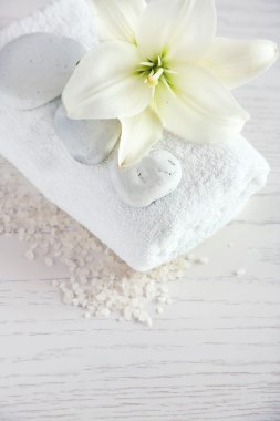 Güzel spa kompozisyonu