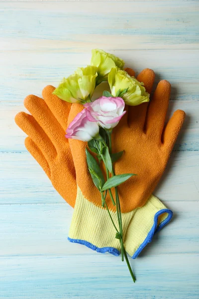 Flower and garden gloves — Stock Photo, Image