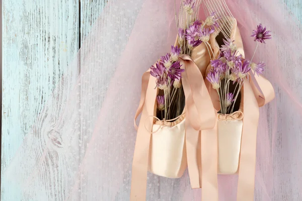 Chaussures de ballet décorées — Photo