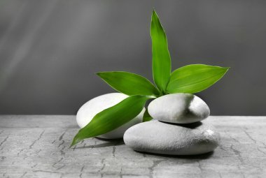 Çakıl yaprak yığını