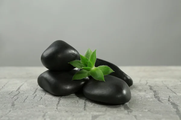 Pile of pebbles with leaf — Stock Photo, Image