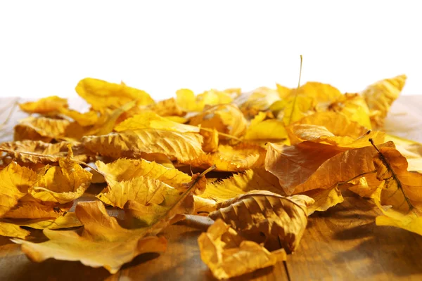 孤立在白色的木桌上的黄色秋叶 — 图库照片