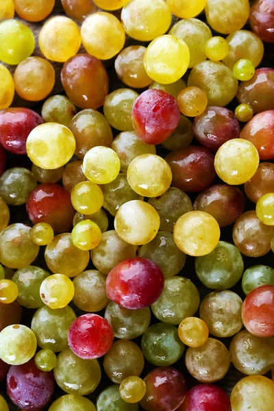 Achtergrond van sappige druiven bessen, close-up — Stockfoto