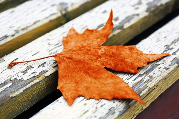 Сухий осінній лист на старій дерев'яній лавці — стокове фото