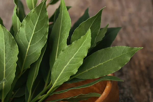 Fresh bay leaves in bowl — Stock Photo, Image