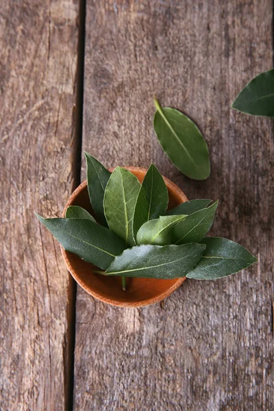 Fresh bay leaves in bowl — Stock Photo, Image