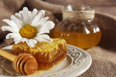 Petek, kepçe ve papatya