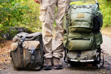 Turist forest yakınındaki yolda
