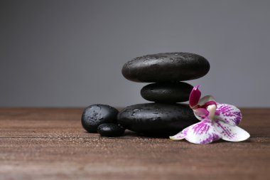 Orkide ile siyah taş