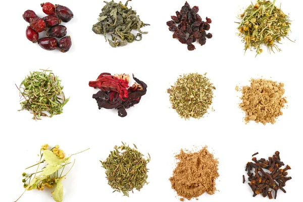 Varios tipos de té de hierbas y hierbas aisladas en blanco — Foto de Stock