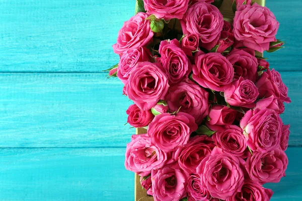 Hermosas rosas en caja — Foto de Stock