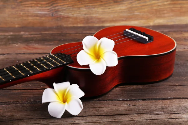 Hawaiian guitar and flowers — Stock Photo, Image