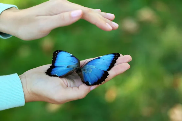 Colorful butterfly in female hand — Stock Photo, Image