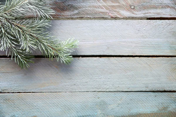 Vánoční strom s mrazem — Stock fotografie