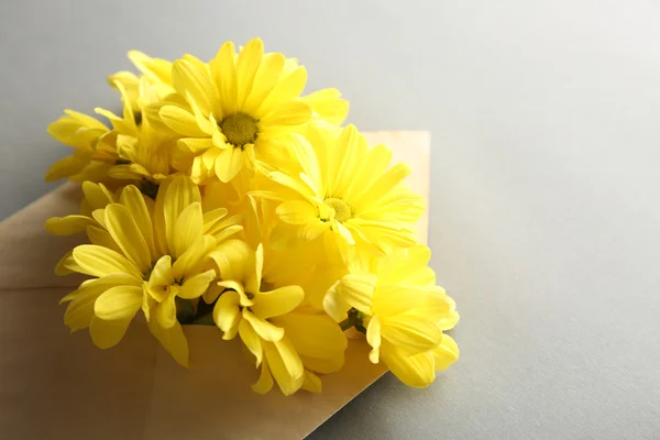 Gele chrysant in envelop — Stockfoto