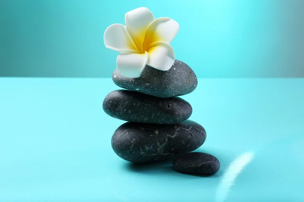 Spa stones and flower — Stock Photo, Image