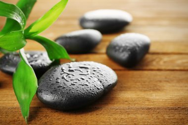 Spa taşlar ve bambu şube