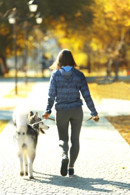 kadın parkta onu köpek ile jogging