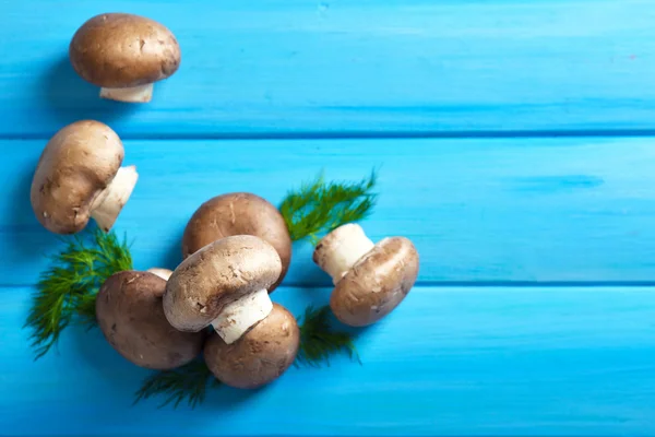 컬러 나무 표면에 버섯 — 스톡 사진