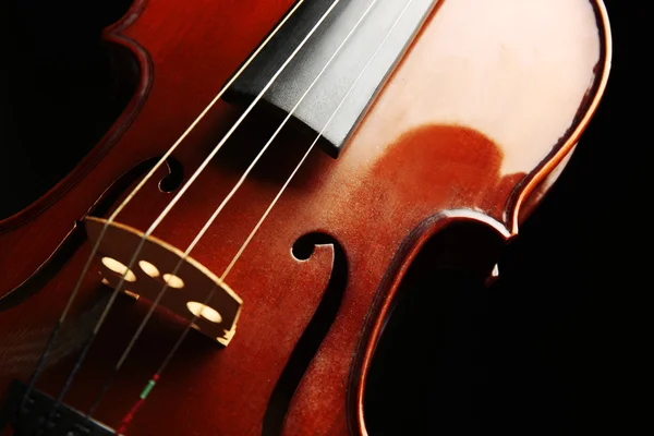 Violín sobre fondo oscuro —  Fotos de Stock