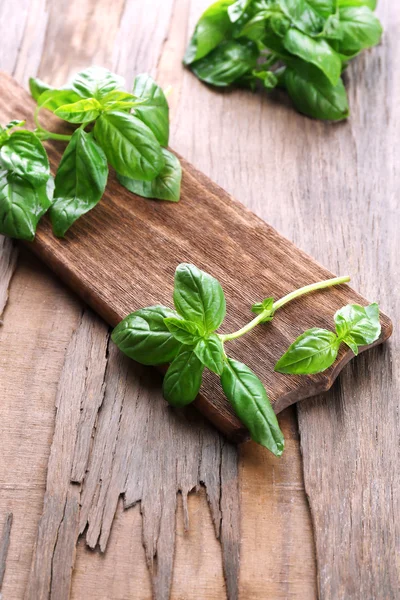 Green fresh basil — Stock Photo, Image