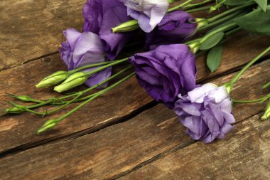 Güzel eustoma arka plan