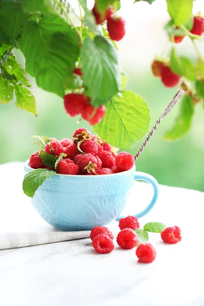 在木制的桌子上模糊的自然背景上杯新鲜树莓 — 图库照片