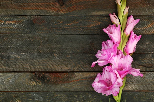 Mooie gladiolen op houten achtergrond — Stockfoto