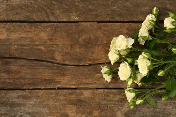 Hermosas rosas pequeñas —  Fotos de Stock